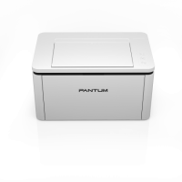 Принтер PANTUM BP2300W